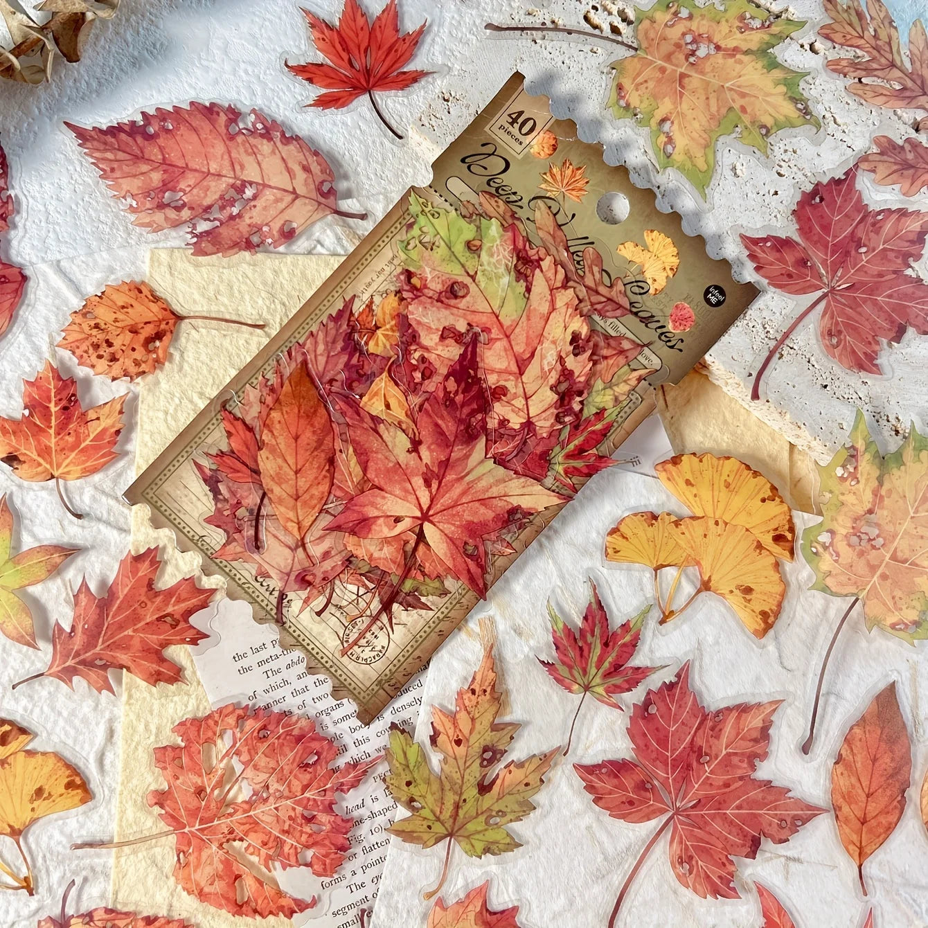 Stickers “Hojas de Otoño”  🍂